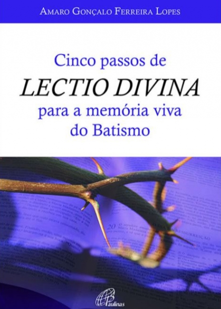 Entrar nos mistérios do rosário