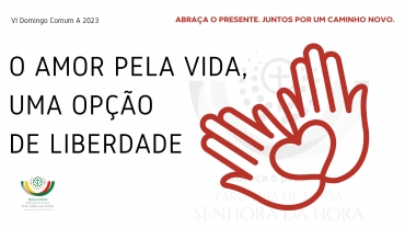 Liturgia e Homilias no 6.º Domingo do Tempo Comum A 2023 (Dia Mundial do Doente)
