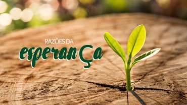 Liturgia e Homilias | VI Domingo da Páscoa A 2020