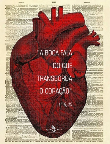 Liturgia e Homilias no VIII Domingo Comum C 2019