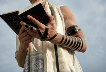 Numa trice tem face congue vel augue in muren