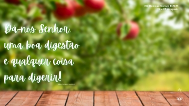 Liturgia e Homilias no XXI Domingo Comum B 2024