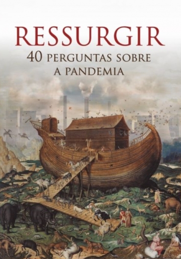 Liturgia e Homilias no XXI Domingo Comum A 2020