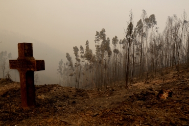 Liturgia e Homilia no XII Domingo Comum A 2017