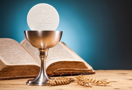 Jasen rika dace tem face congue vel augue in muren