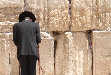 Nosat tretan chusa la face congue vel augue in muren