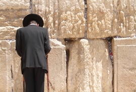 Nosat tretan chusa la face congue vel augue in muren