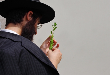 Cazen mitren tem face congue