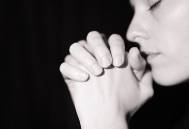 Cazen mupa em face congue vel augue in muren